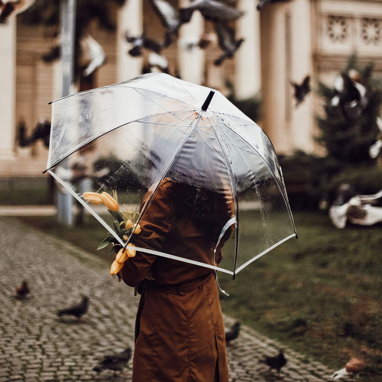 G4Free - G4Free 62 Inch Clear Golf Umbrella Transparent Auto Open Large Stick Umbrella -D02V733A-D02V723A